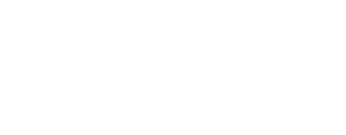 logotipo de dragon de destino china